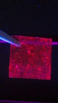 Quantum Dots with Conjugated Polymer and Ligand Enhancement Chemistry