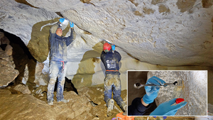 Cave microbiology