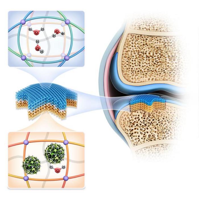 Deformable devices with region-selectively assembled osteoinductive microrobots for curved joint defect repair.