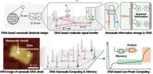 Implementation of a DNA Molecular Computer Smaller Than 2nm Semiconductors… High Expectations for Bio-computing Applications​