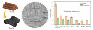 Unlocking extreme anisotropy in monolithic biochar hardness