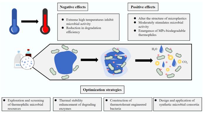 Impacts of high temperatures on microbial degradation of microplastics and strategies for optimization