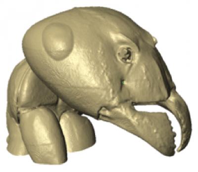 Ant Model