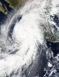 Terra Image of Patricia
