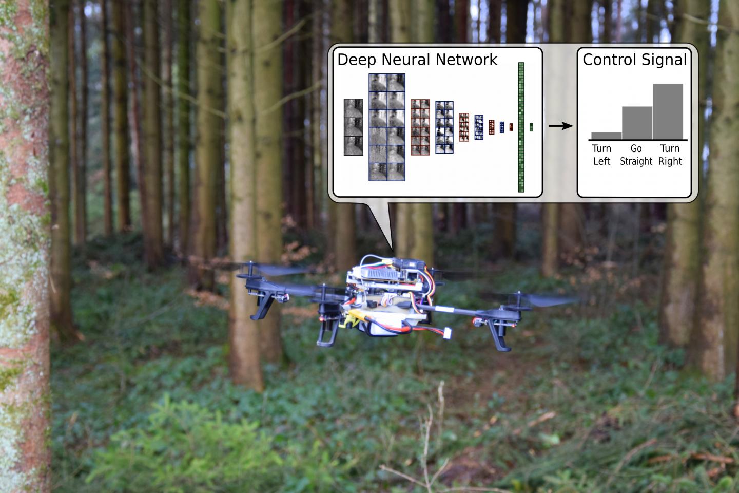 Successful Deep Neural Network Application