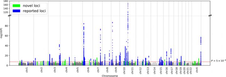 Figure 1: Manhattan Plot of the Meta-analysis
