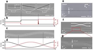 Fig. 2 Femtosecond laser direct writing by interferometric scattering effect.