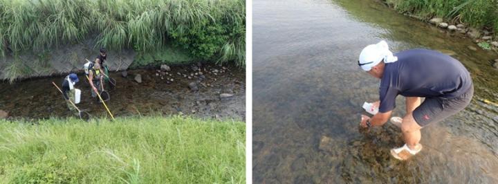 水1Lの分析で絶滅危惧種ニホンウナギの河川内分布を明らかにできる！（図２）