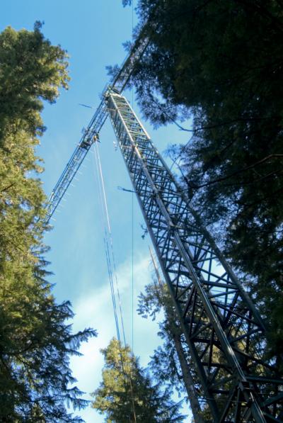 Crane from Ground