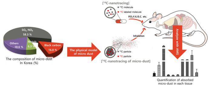 [Figure 3] ¹⁴C-nanotracing approach for analyzing the organ distribution of black carbon-based fine particulate matter