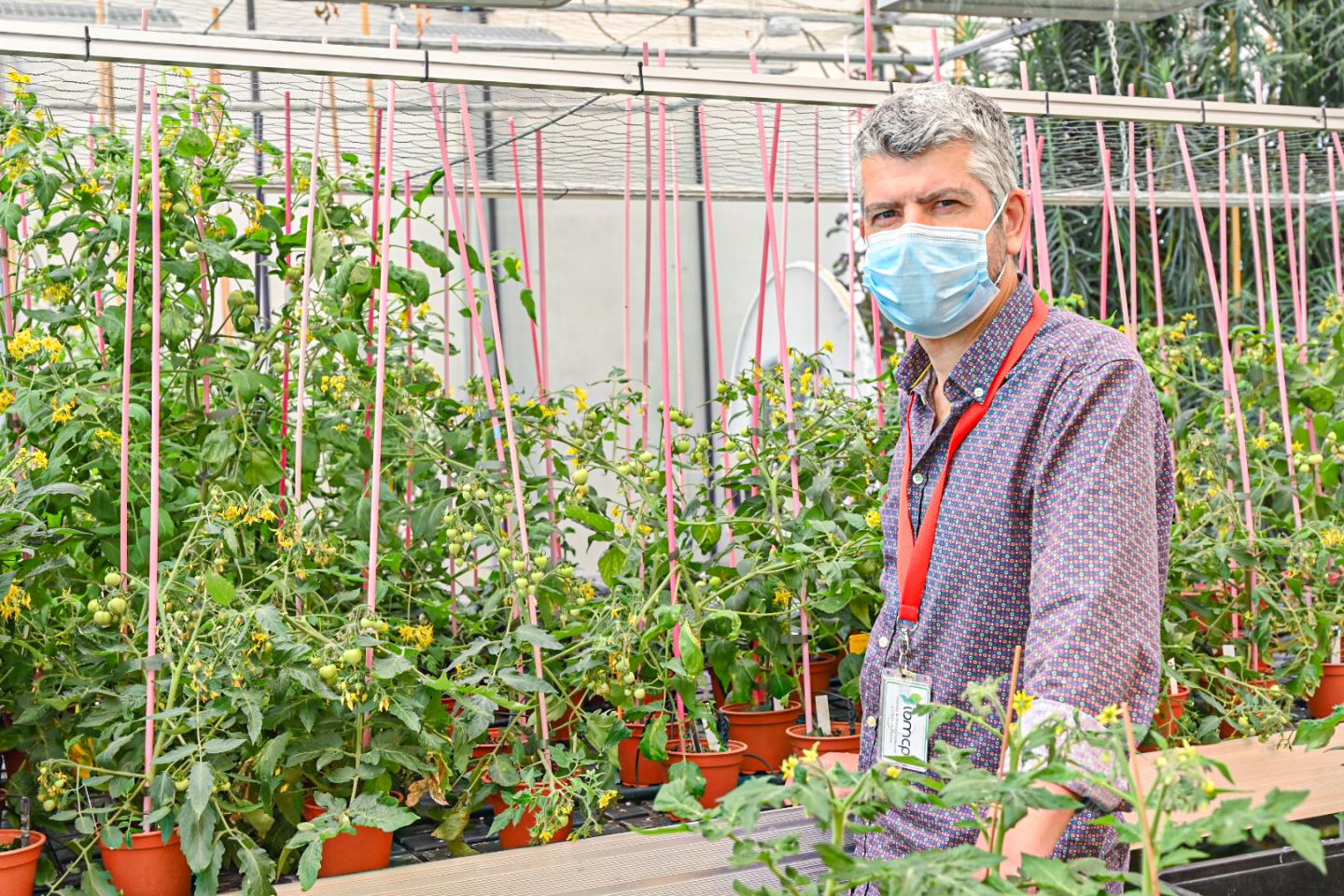 Manuel Rodriguez Concepción, IBMCP