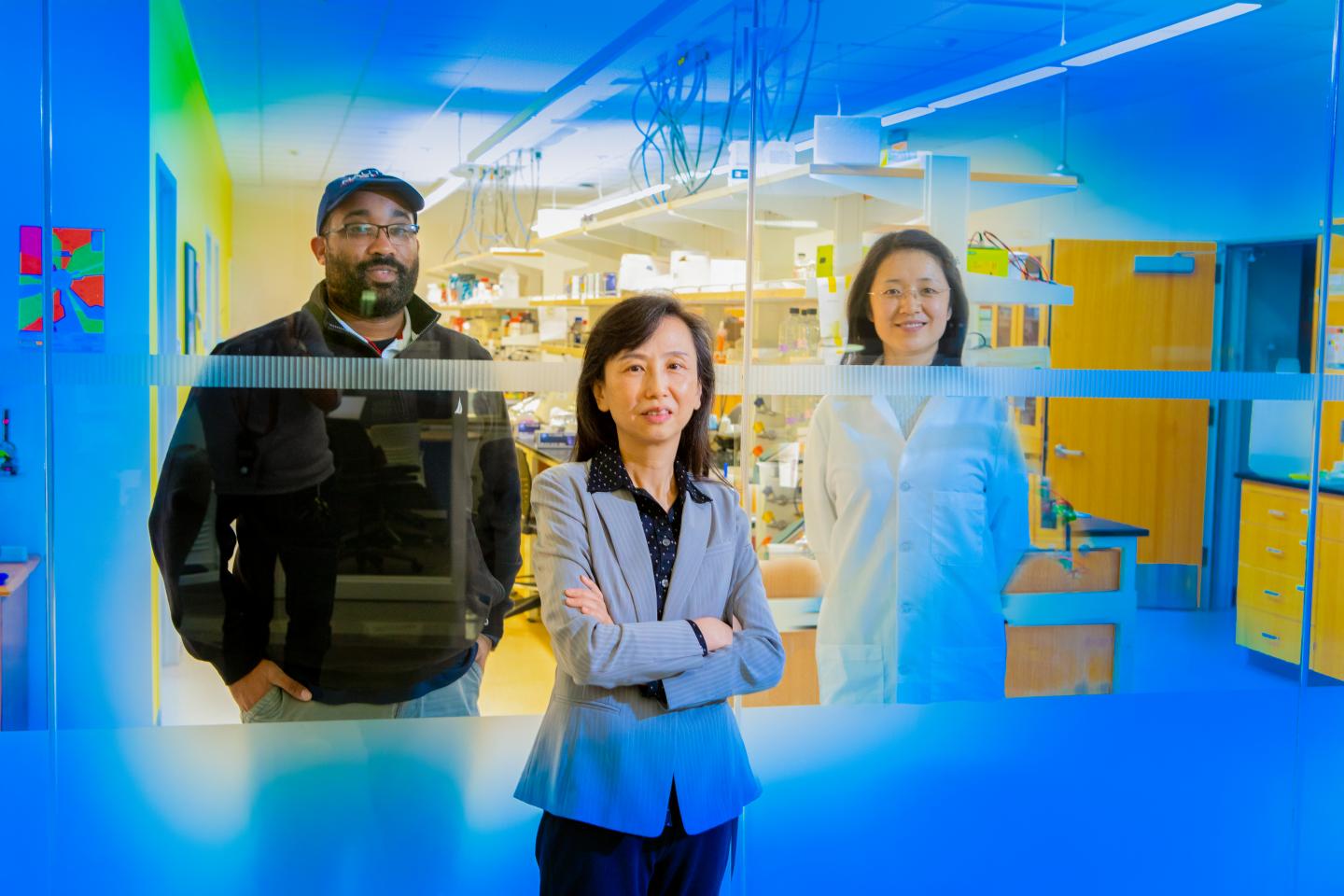 UB team's preclinical study finds memory deficits can be reversed