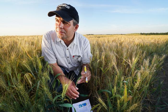 Mohsen Mohammadi, Purdue University and Novin AgriTech