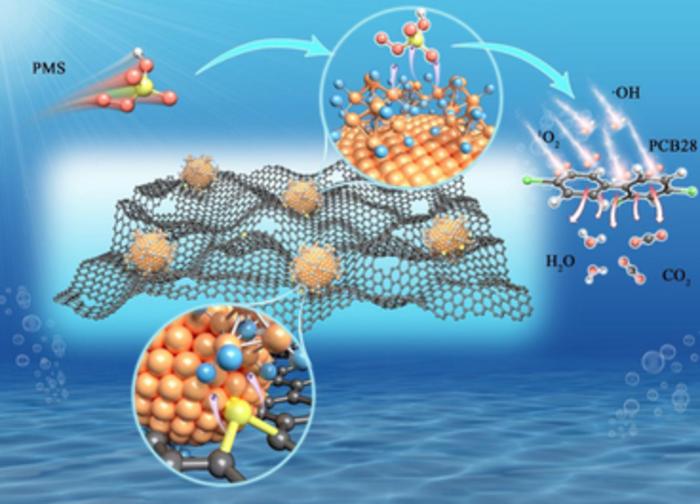 Core–shell CoN@Co ultra-stable nanoparticles on biochar for contamination remediation in water and soil