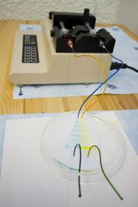 Demonstration of a Concentration Gradient Generator