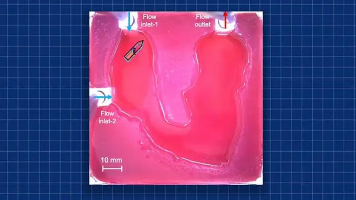 See How Robots Would Deliver Medicine to the Heart