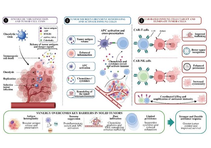 Synergistic antitumor mechanisms of combining oncolytic viruses with CAR-based cell therapy