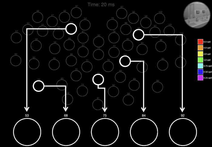Video of Neural Code Over Time
