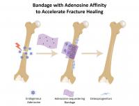 Bandage Graphic