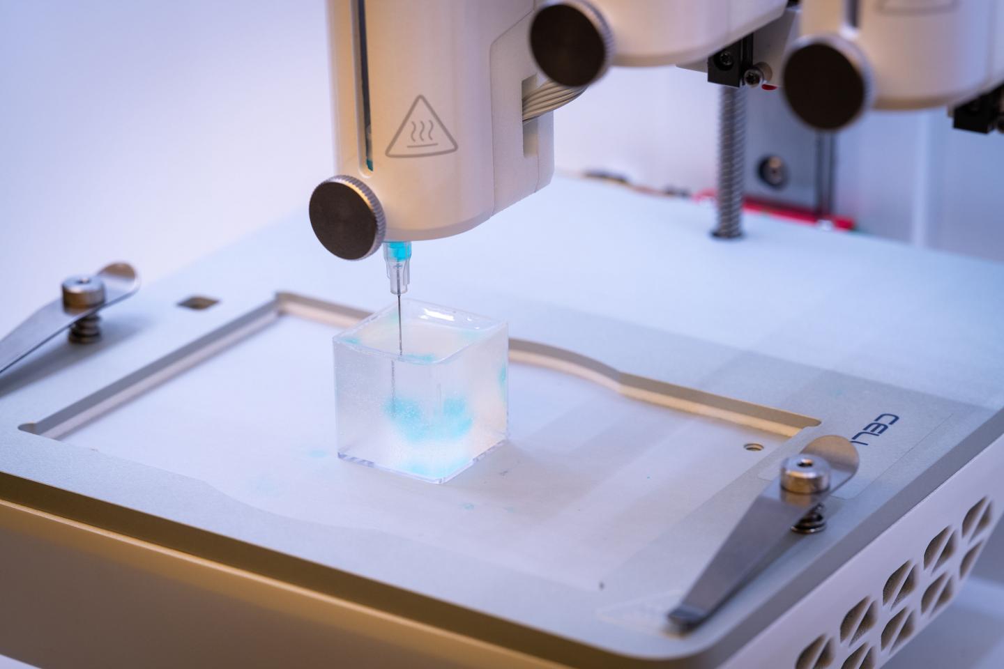 LiU 4D Bioprinting