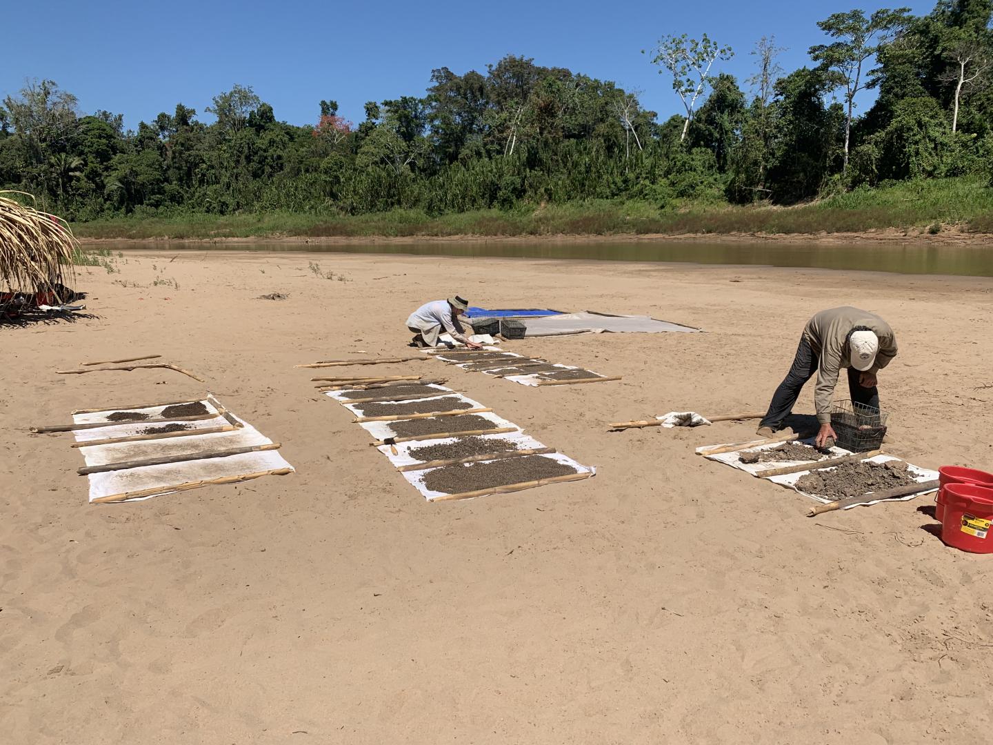 Paleontologists Sediment