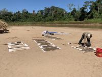 Paleontologists Sediment