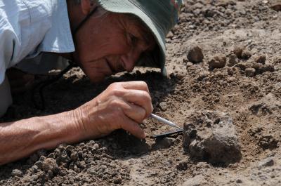 Meave Leakey, National Geographic Society 