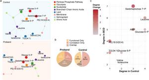 Network analysis reveals metabolic rewiring and enhanced pathway connectivity in BCD