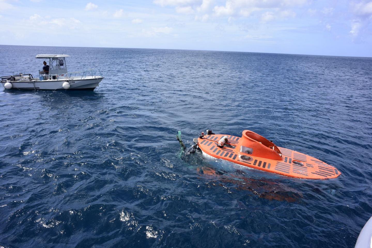 Submersible Dive