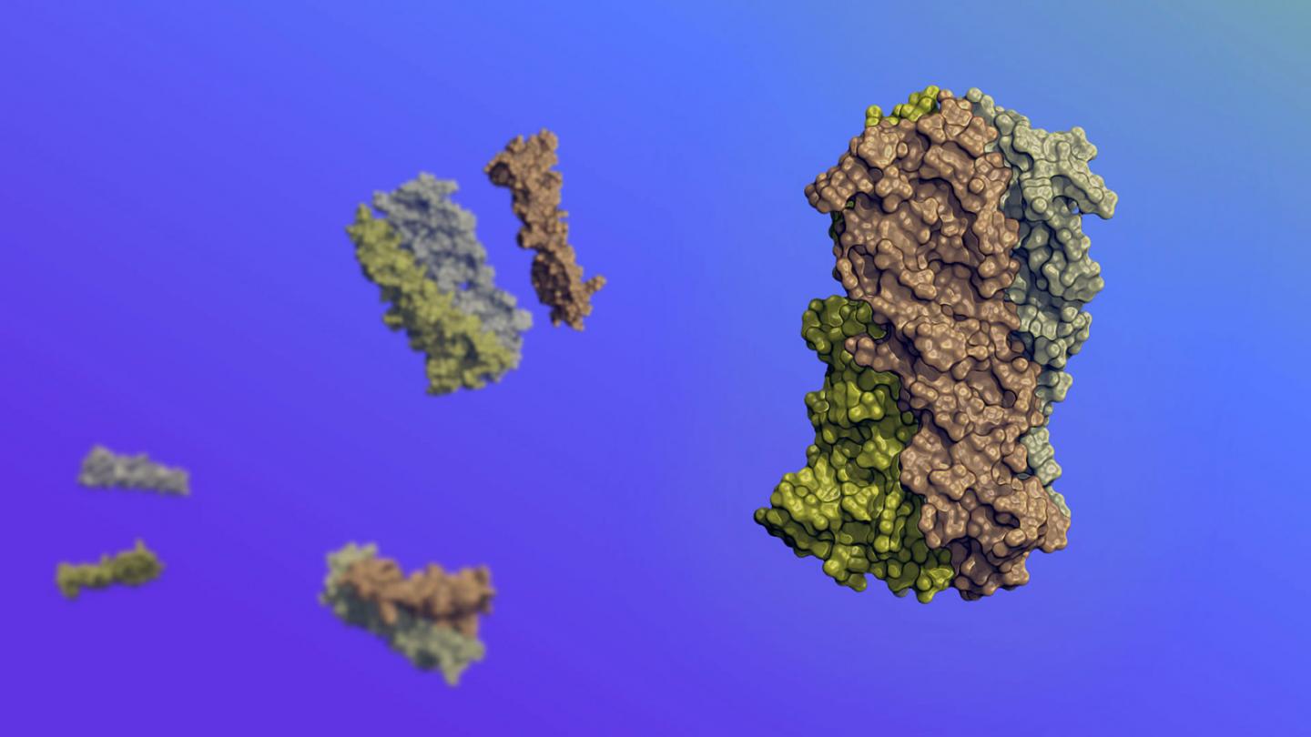 Synthetic Protein That Moves in Response to Environment