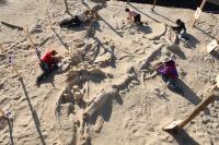 Whale Graveyard (3 of 3)