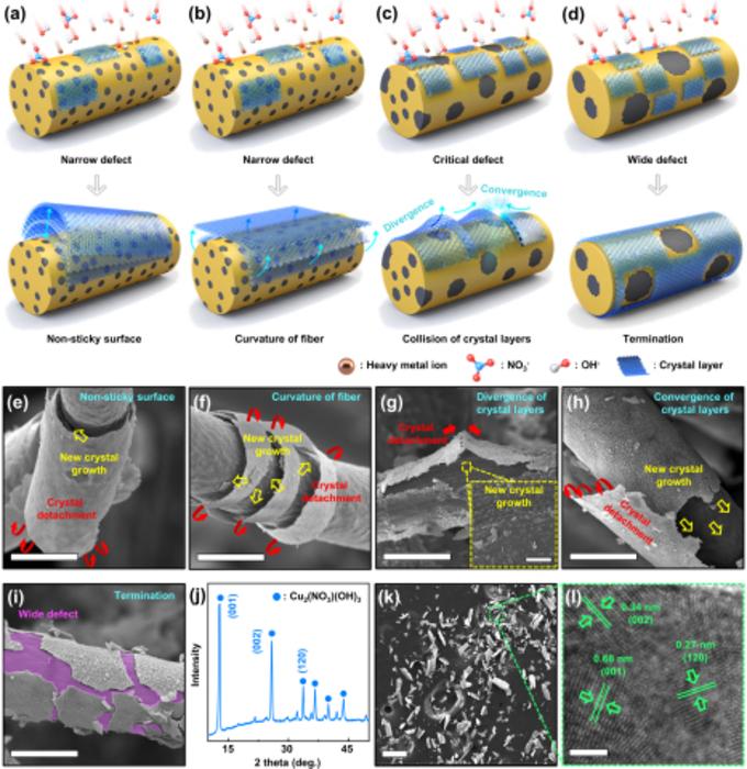 Figure 2. Analysis of the self-detachment of crystal layers on the SRF surface.