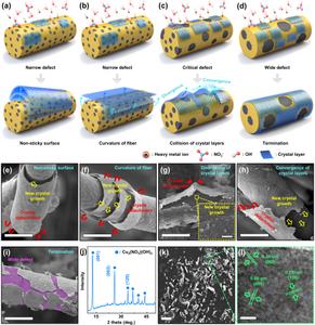 Figure 2. Analysis of the self-detachment of crystal layers on the SRF surface.