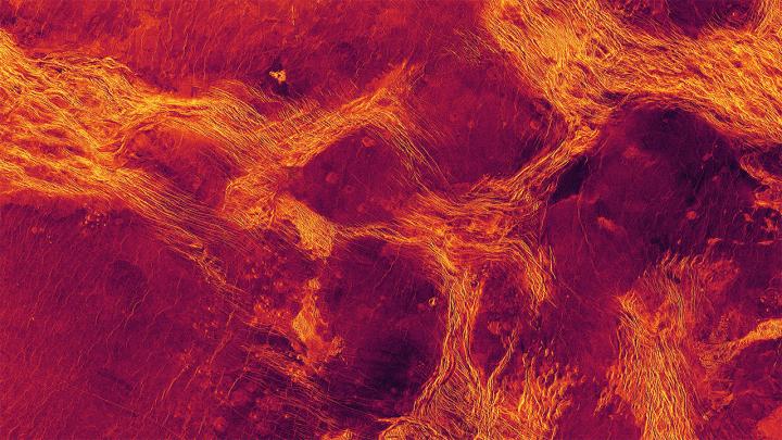 False-color radar view of Lavinia Planitia