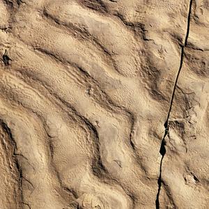 Turbidity current ripples