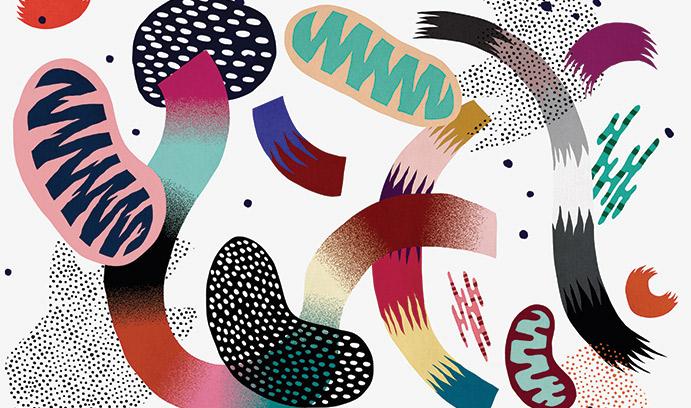 The Battle Against Drug Resistant Bacteria