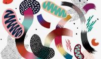 The Battle Against Drug Resistant Bacteria