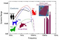 Comparison: Cats, Humans, Whales and New Atomically Thin Drumheads