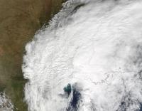 Terra Image of Patricia