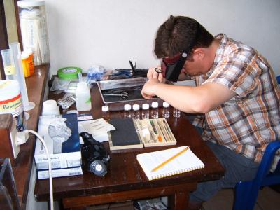 Speciation Follows Changes in the Brain (4 of 6)