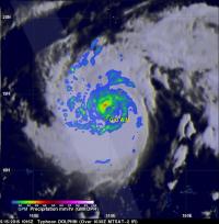 GPM image of Dolphin