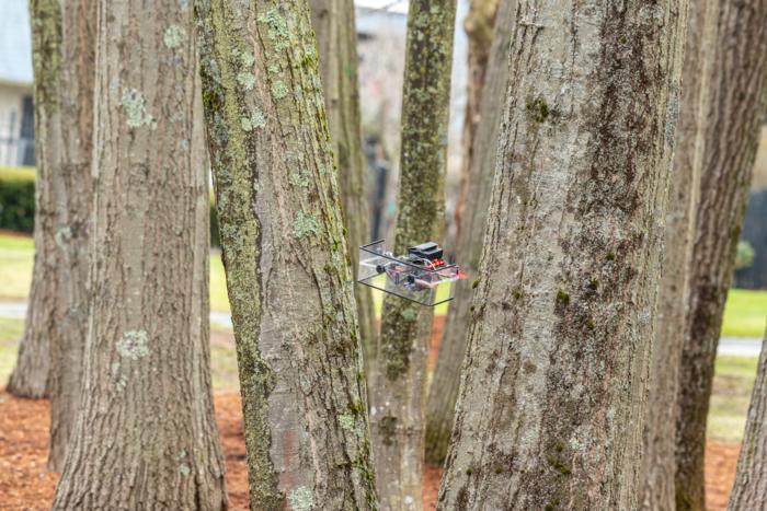 Bat-inspired aerial robot