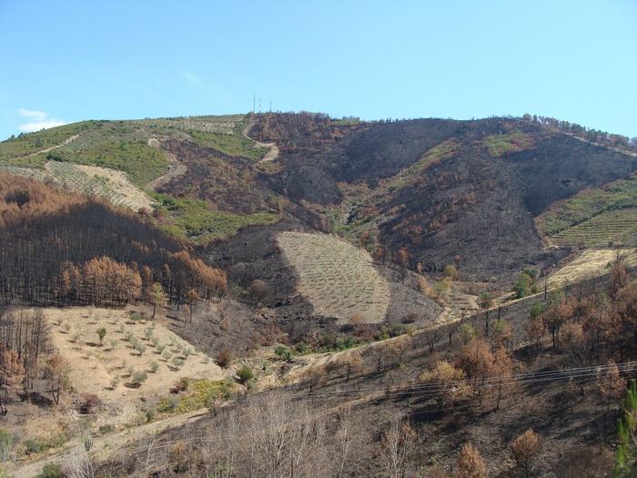 The ‘Mosaico Extremadura’ initiative in northern Extremadura (Spain)