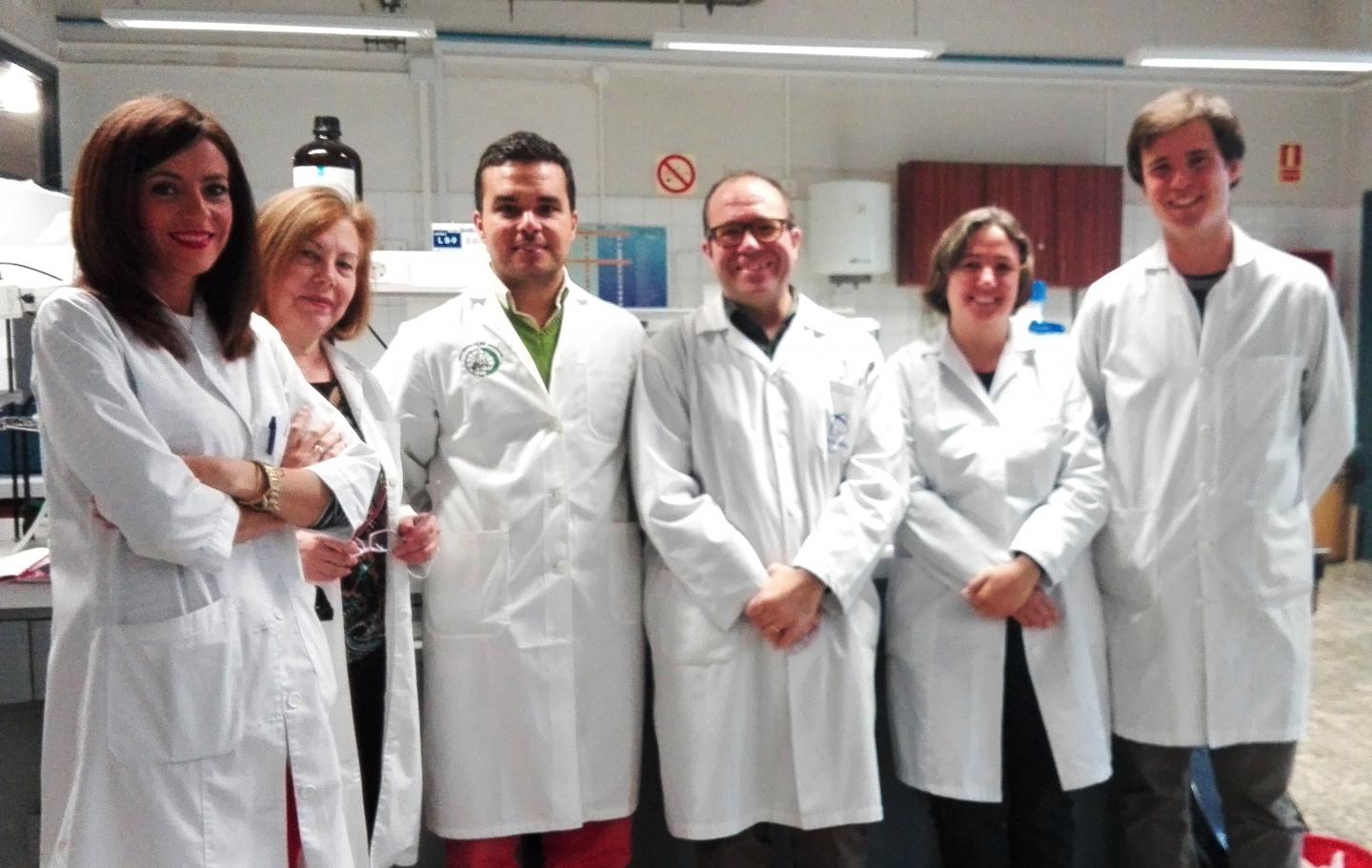The Researchers from the University of Granada which have Participated in this Research