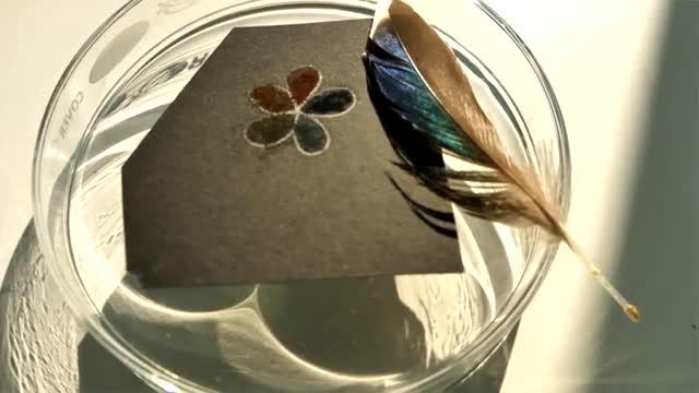 Synthesizing Structural Colors