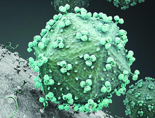 HIV with Envelope Protein Trimers