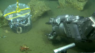 ROVs