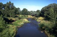 Natural River