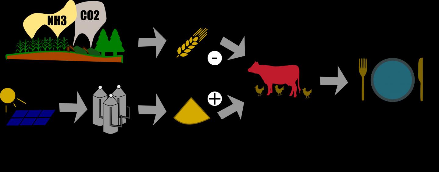 Industrially Produced Microbes Can Replace Some Protein Feed for Cattle, Pigs and Chicken