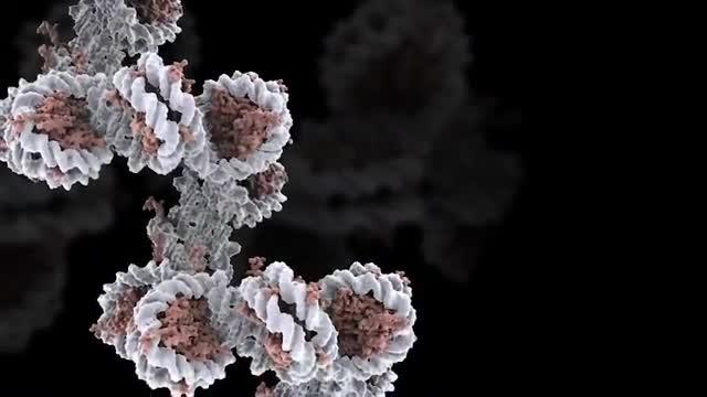 Helping Cells Maintain Their Unlimited Potential